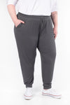 Signature Joggers - Grey